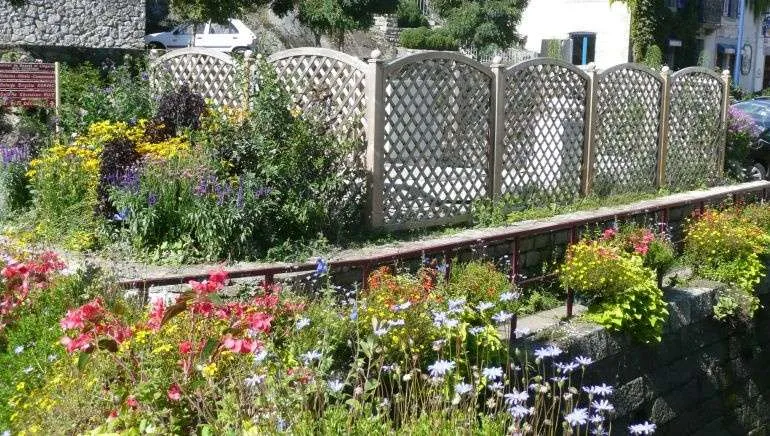 P1020915-770x433